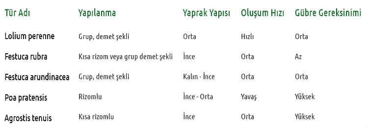 Çim Türleri - Yapısal Özellik