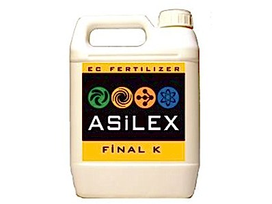 Asilex Final K