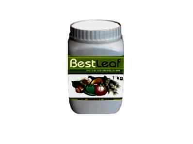 Best Leaf Fertilizer