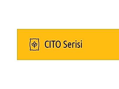CITO Serisi