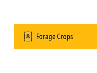 Forage Crops