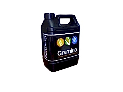 Gramino