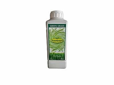 Green Grass - Grass Paint