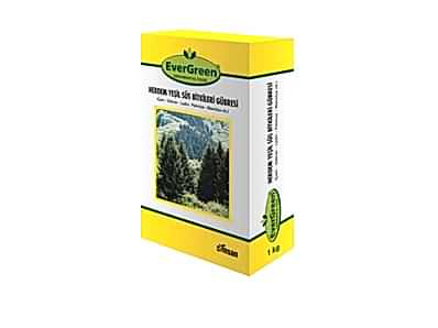 Evergreen Ornamental Plants Fertilizer