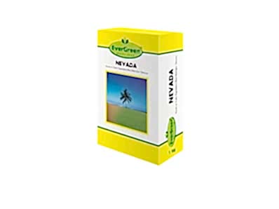 Nevada 4M (Aegean and Mediterranean Grass Seed)