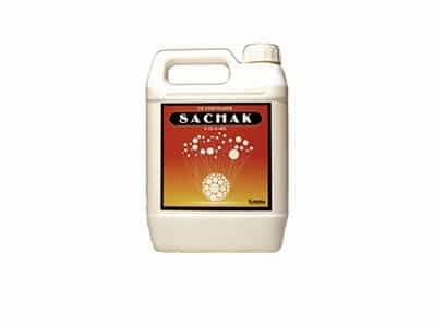 Sachak