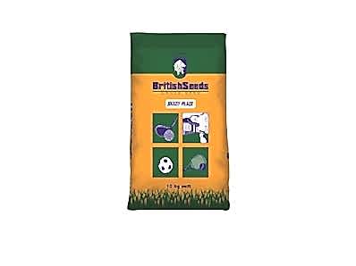 Shady Place (Shady Field Grass Seed)