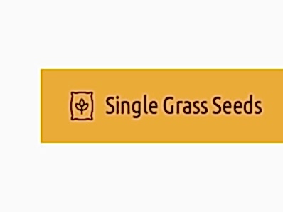 Single Grass Seeds