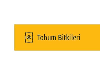 Tohum Bitkileri