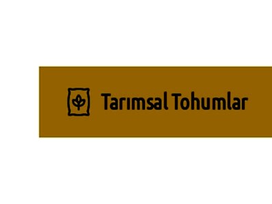 Tohumlar