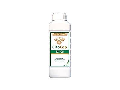 Cito - Cop