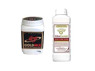 Gold Mix-Cito Combi