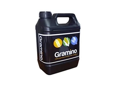 Gramino