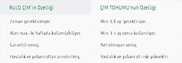 Rulo Çim İle Çim Tohumu Uygulama Farkı